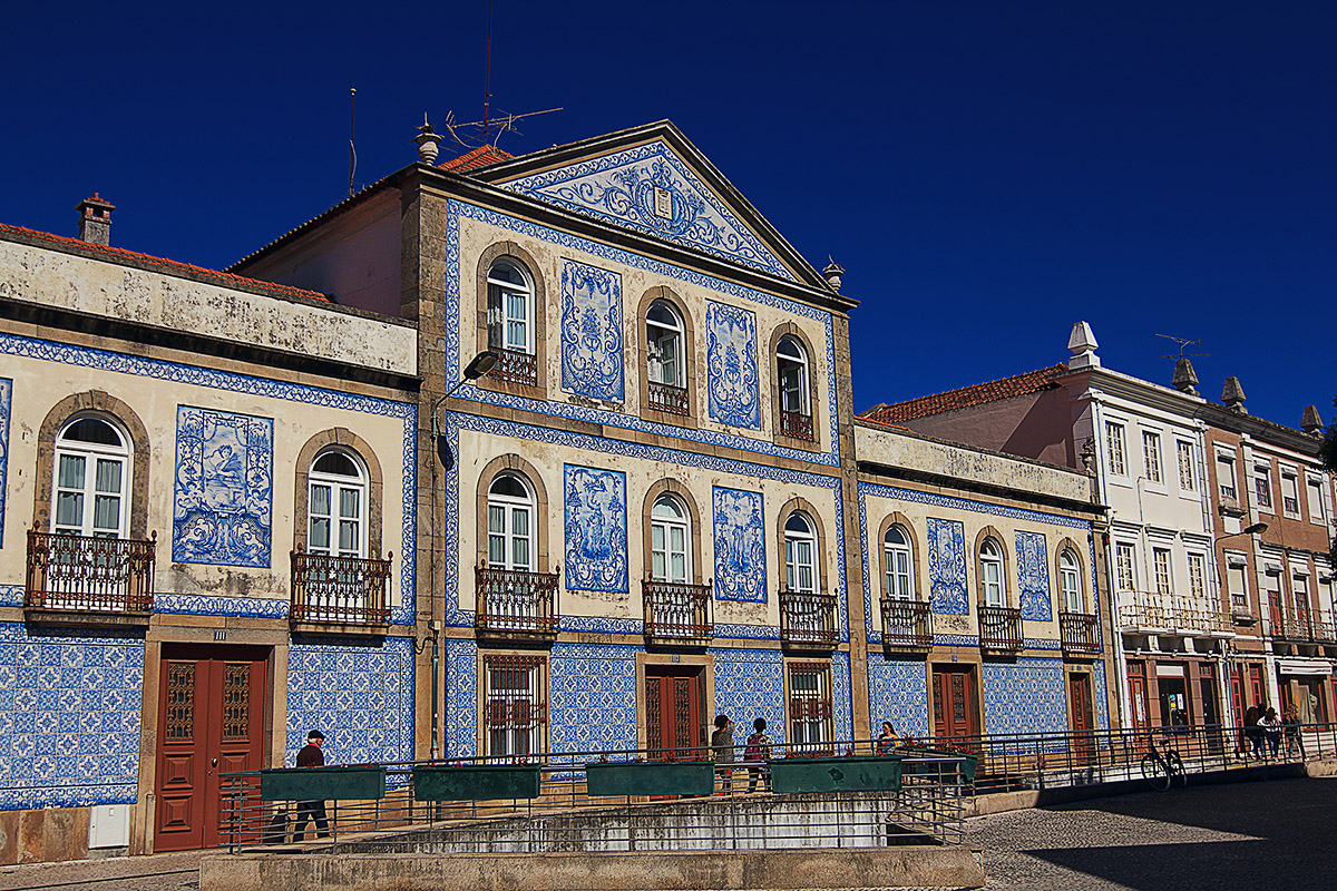 IMG 0583web