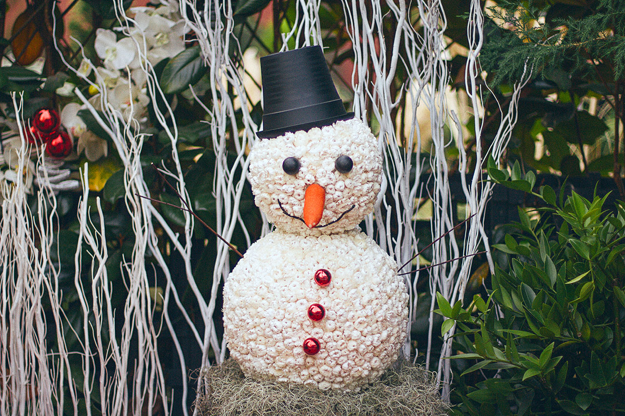 IMG 3892web