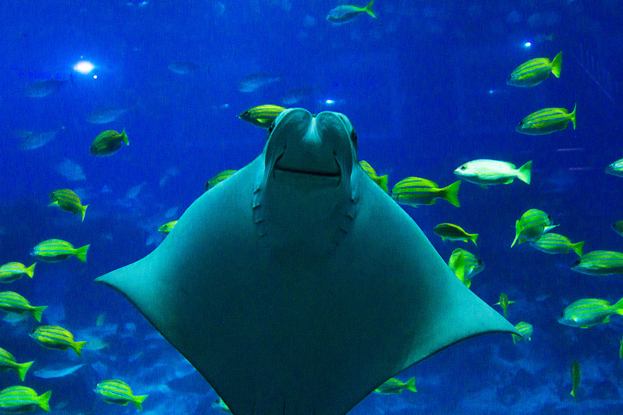 IMG 4764web