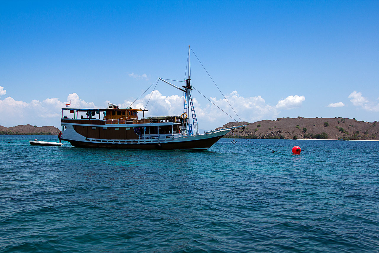 IMG 5909web