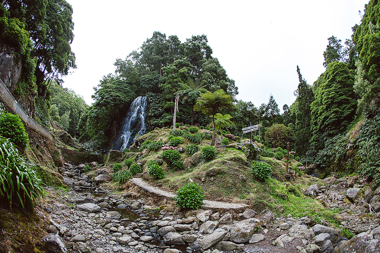 IMG 7654web