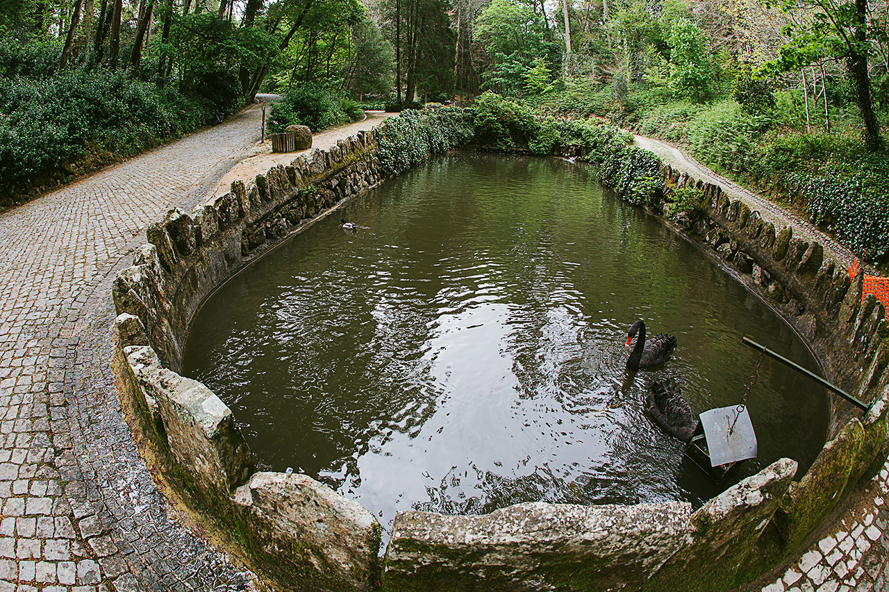 IMG 8251web