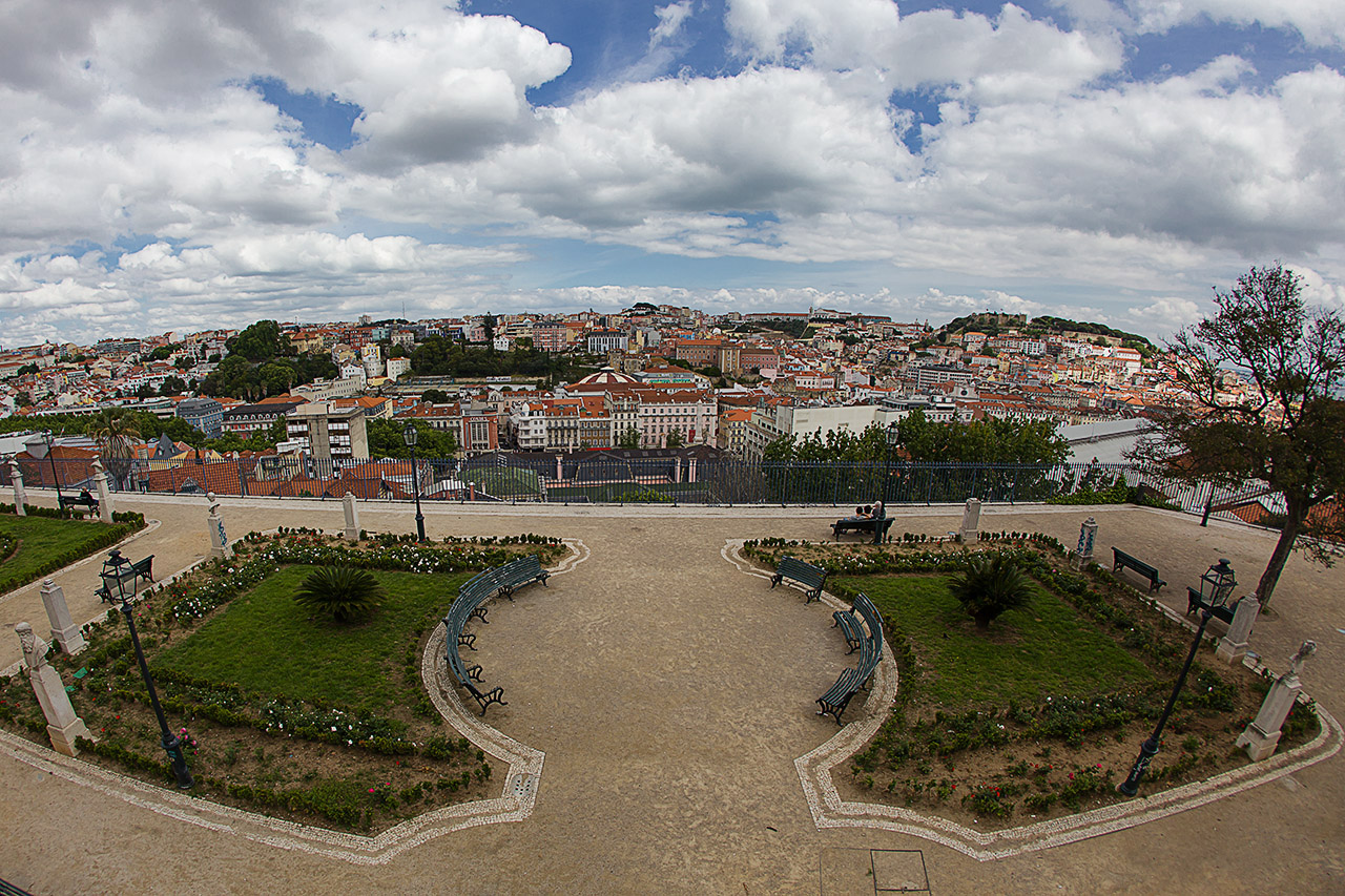 IMG 8533web
