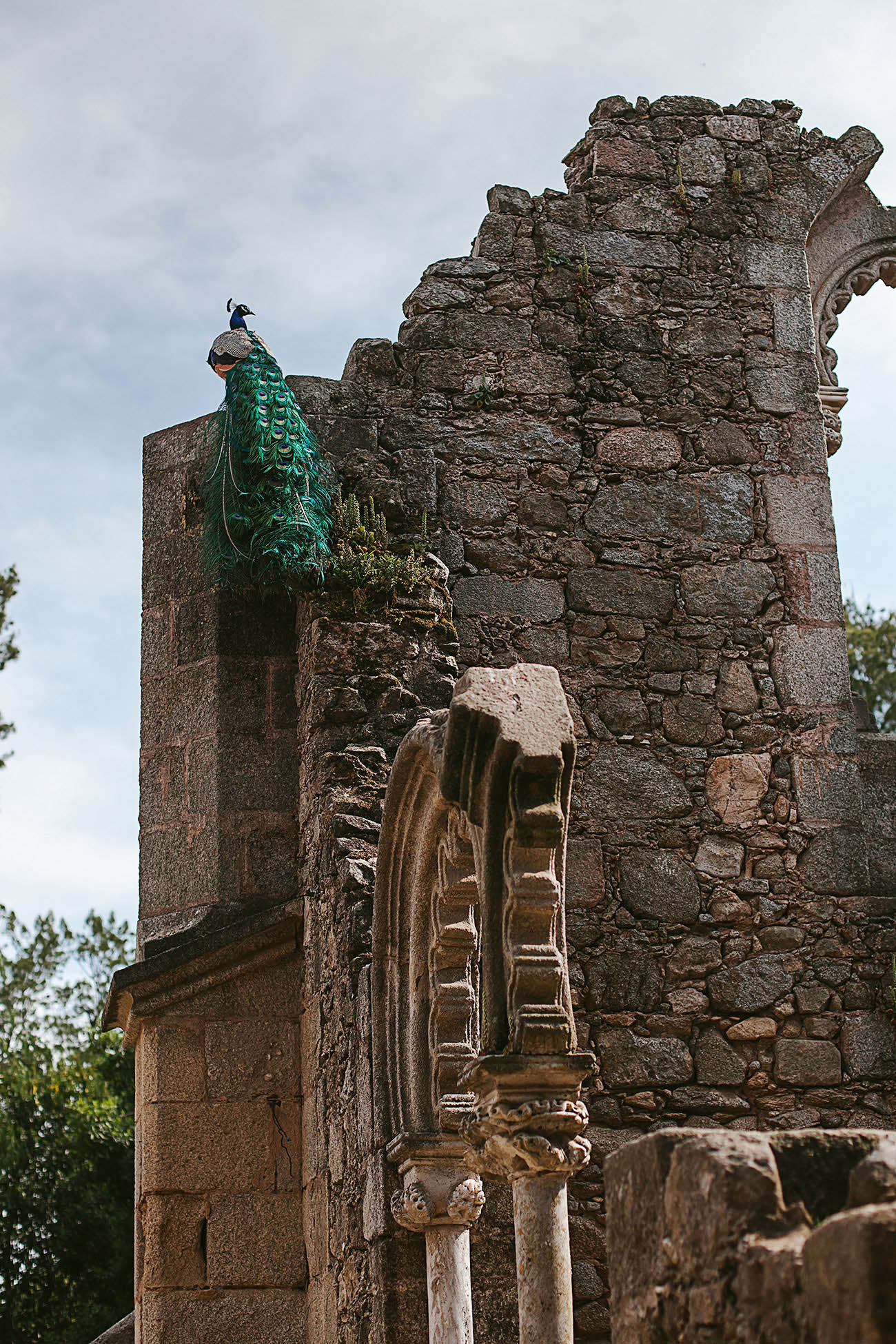 IMG 9107web