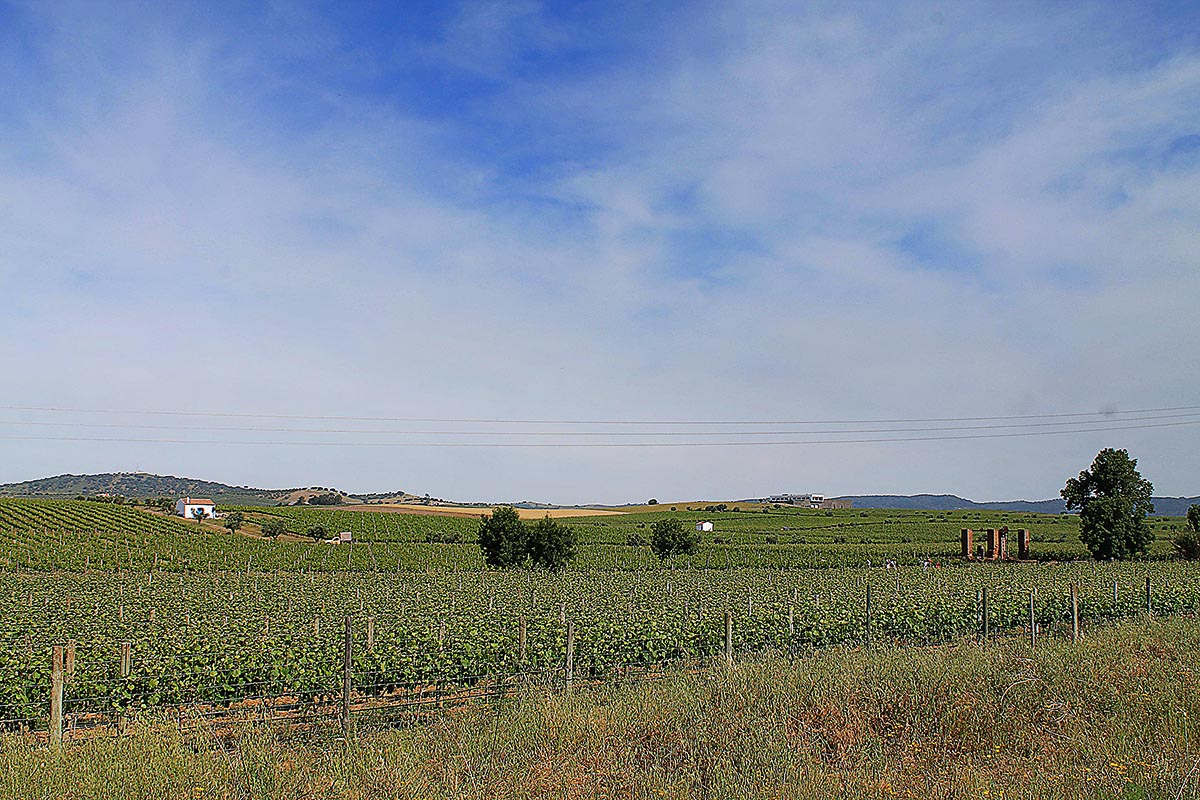 IMG 9740 1web