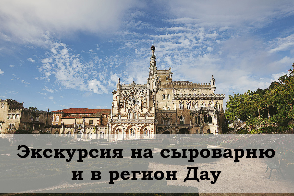 Экскурсия на сыроварню и винодельню региона Дау